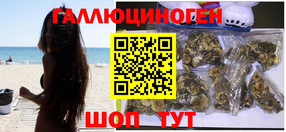 цены наркотик  Псилоцибиновые грибы MAGIC MUSHROOMS  Вход с VPN  Чехов 